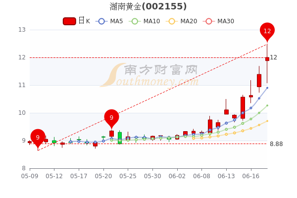 湖南黄金首板涨停，市场繁荣与挑战下的黄金市场动向