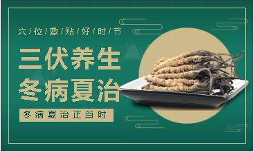 冬季贴三伏贴的最佳时机解析，选择合适月份贴敷的重要性