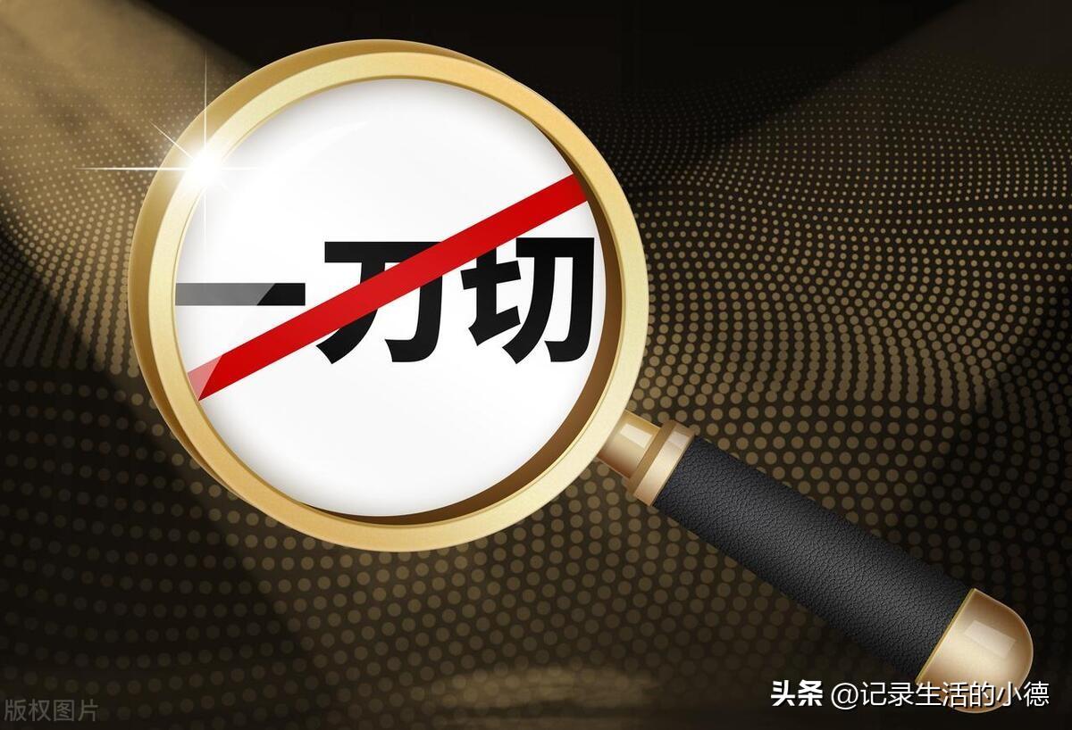 教育公平促进社会职场多元与包容共进