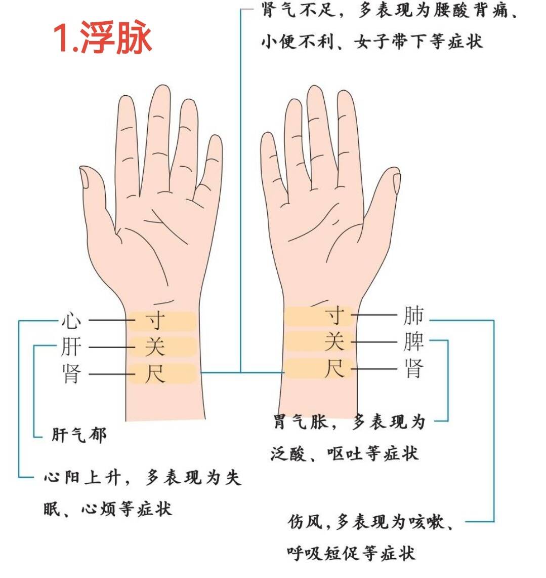 中医养生之脉诊与健康预警的奥秘