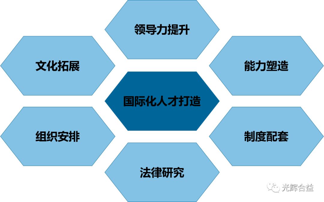 多文化教育对跨国企业人才发展的深远影响