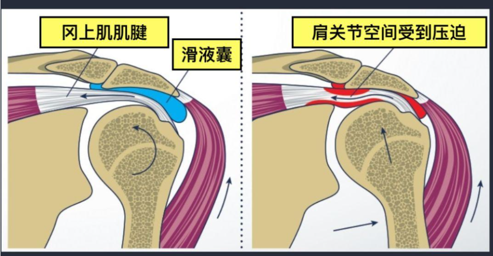 突发跌倒导致的头部损伤应急处理指南