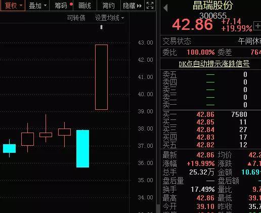 2024年12月1日 第13页