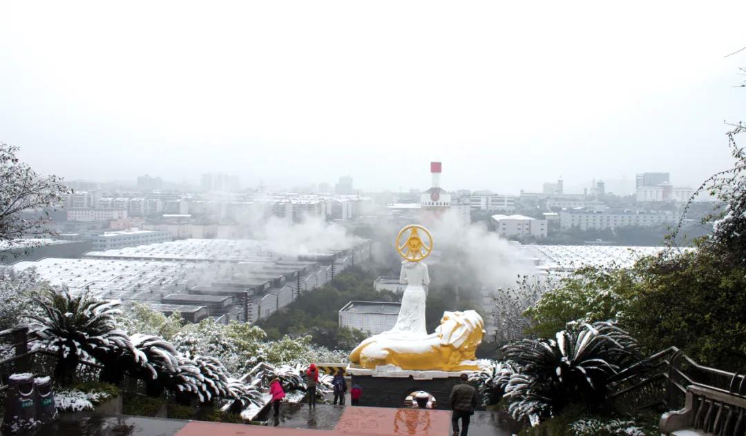 宜宾市政府表彰邹敬园，典范力量，激励城市前行发展