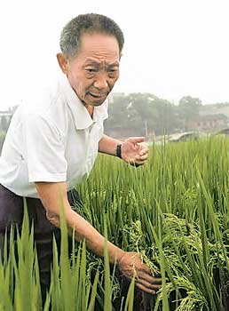 袁隆平，稻田骄子，国士无双