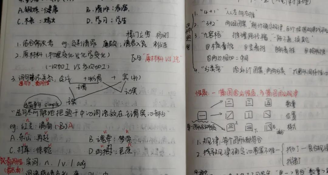 2024年12月6日 第11页