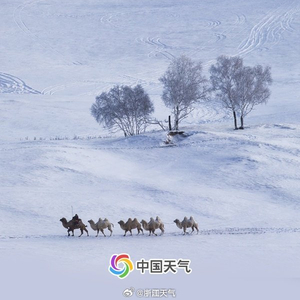 大雪降临之际，新年的脚步已近