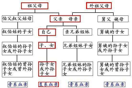 深度解析血缘关系，直系亲属究竟包括哪些人？