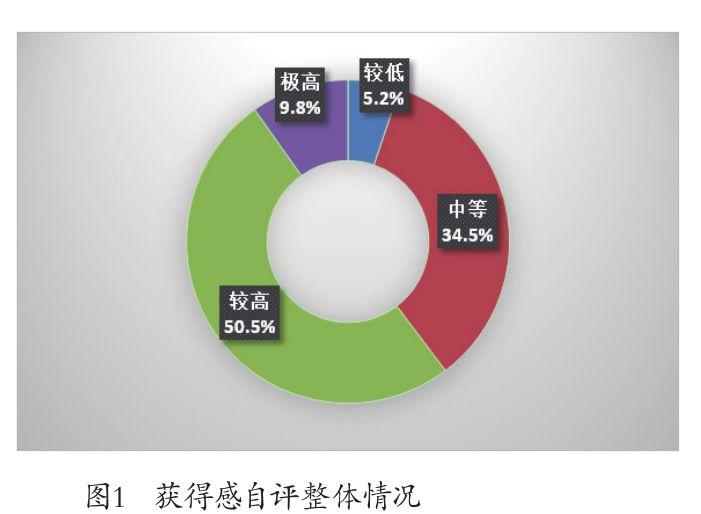 公务员职级晋升个人自评报告，成长历程与自我总结