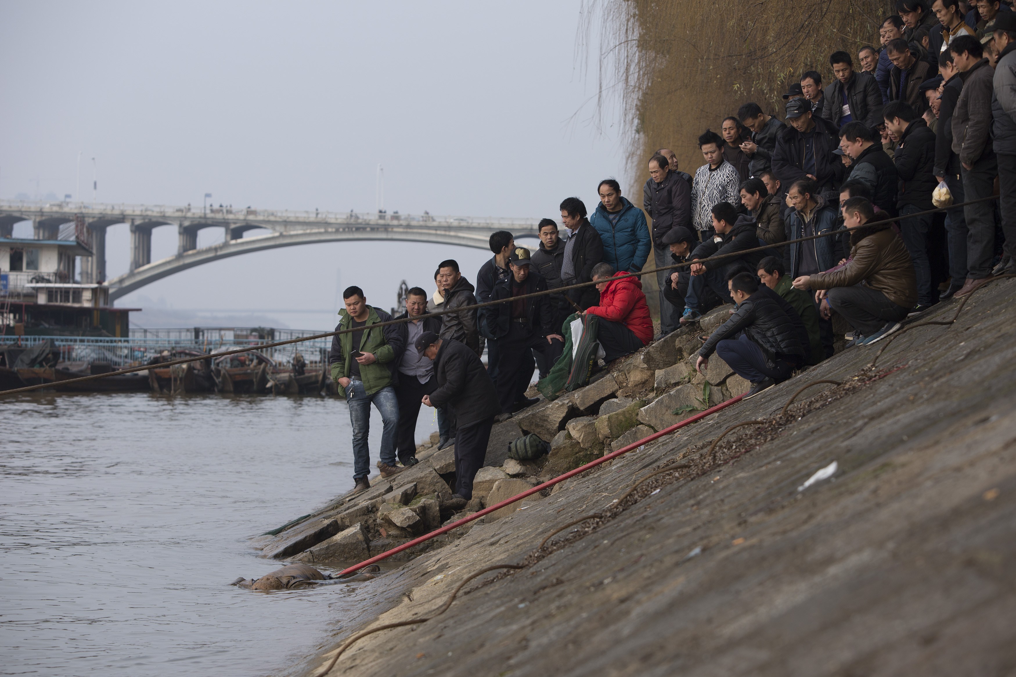 长沙大桥下发现浮尸，身份成谜——生命与寻找的探寻之旅