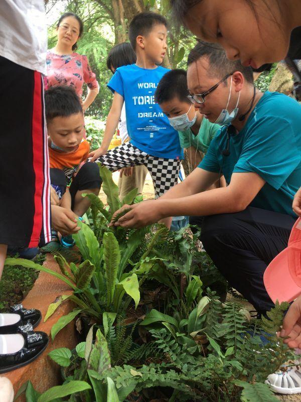 五岁孩童的植物启蒙课，孩子与植物学家的教育之旅