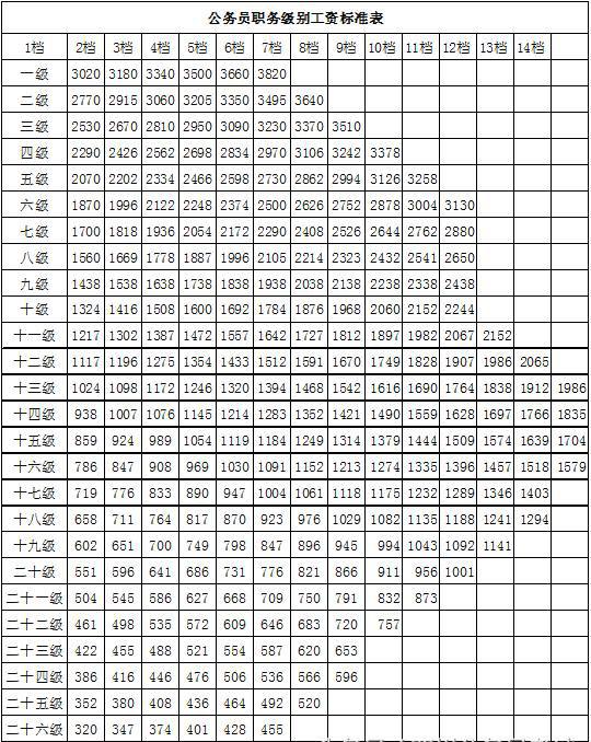 公务员职级晋升特长范文探索，晋升之路的关键要素汇总