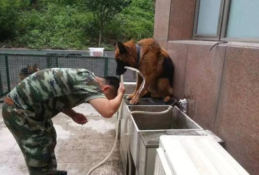 地震突发，老师迅速抱起学生撤离现场