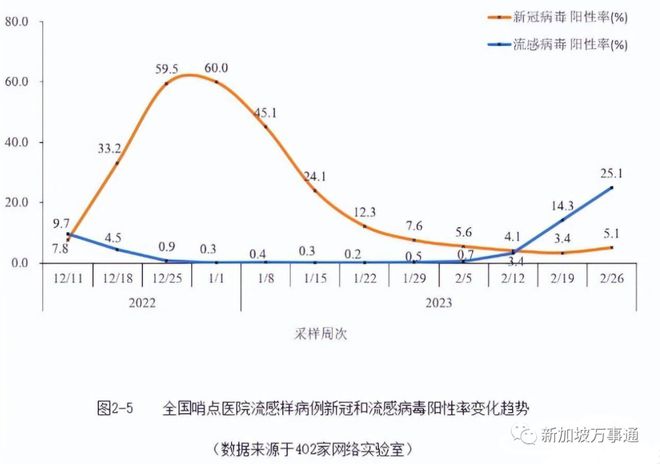 当前甲流病毒主导，挑战与应对策略