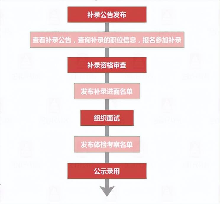 公务员报名流程全面解析