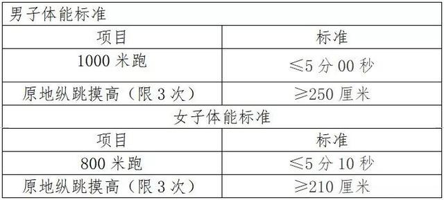 笔试与面试，人才评估的双重维度——笔试占主导，面试增色补充的考量