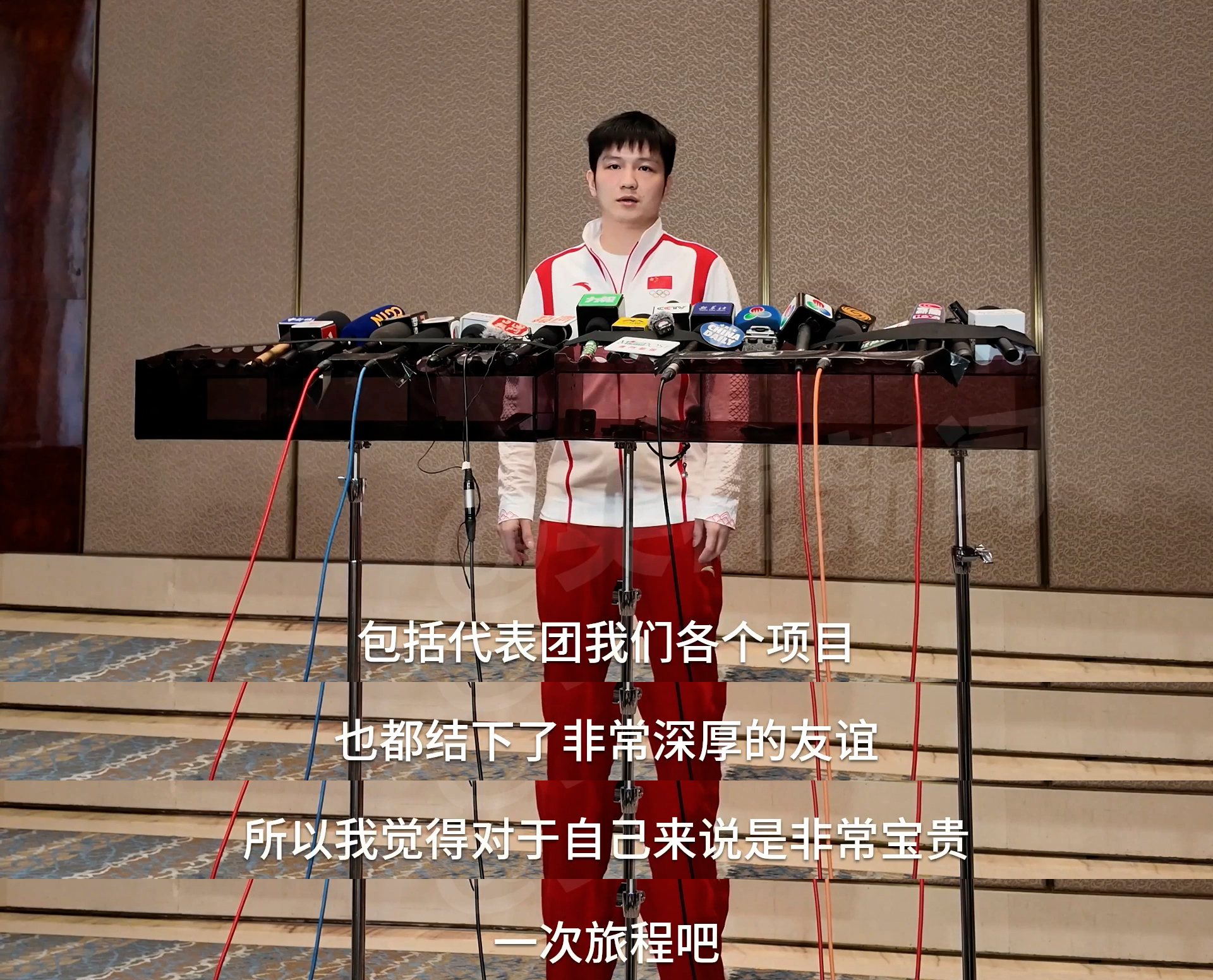 樊振东谈未来规划，持续进取，铸就辉煌之路