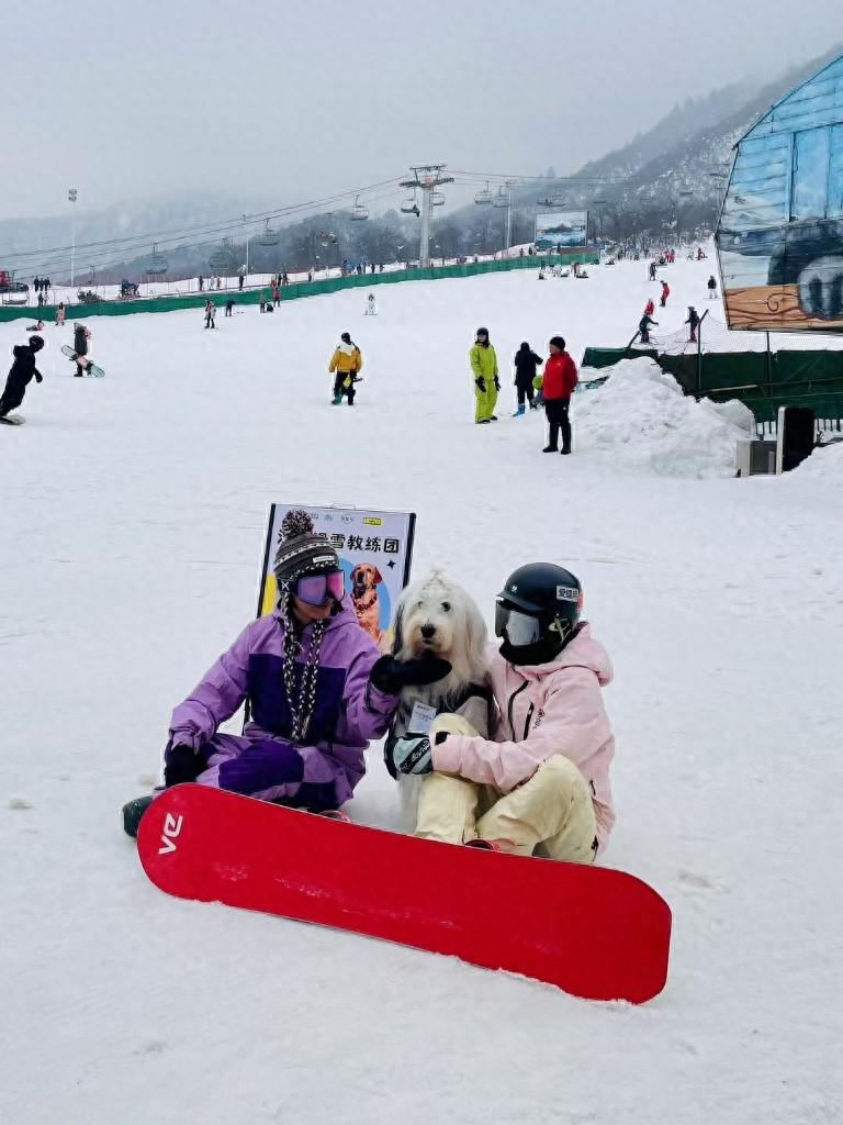 狗狗的滑雪冒险，意外亲密之旅