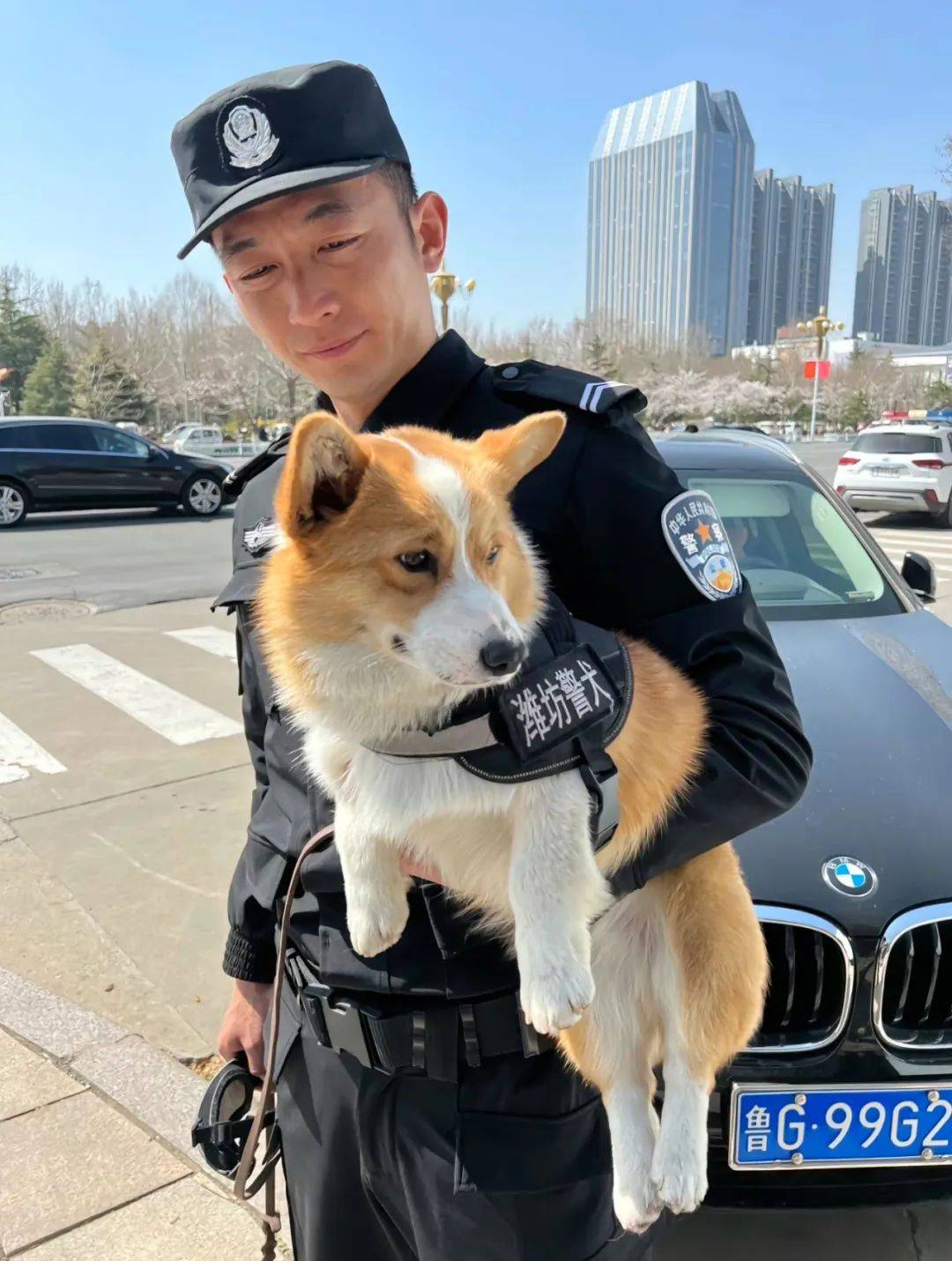 警犬福仔因工作失误被扣年终奖，工作中的责任与担当反思