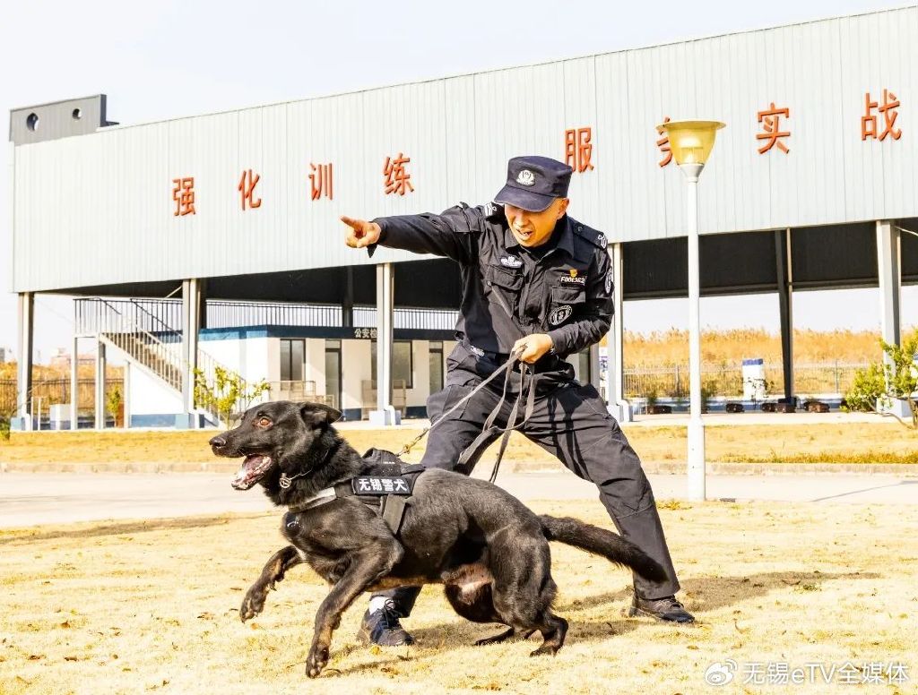 警队失误引发反思，四只警犬遭点名通报批评