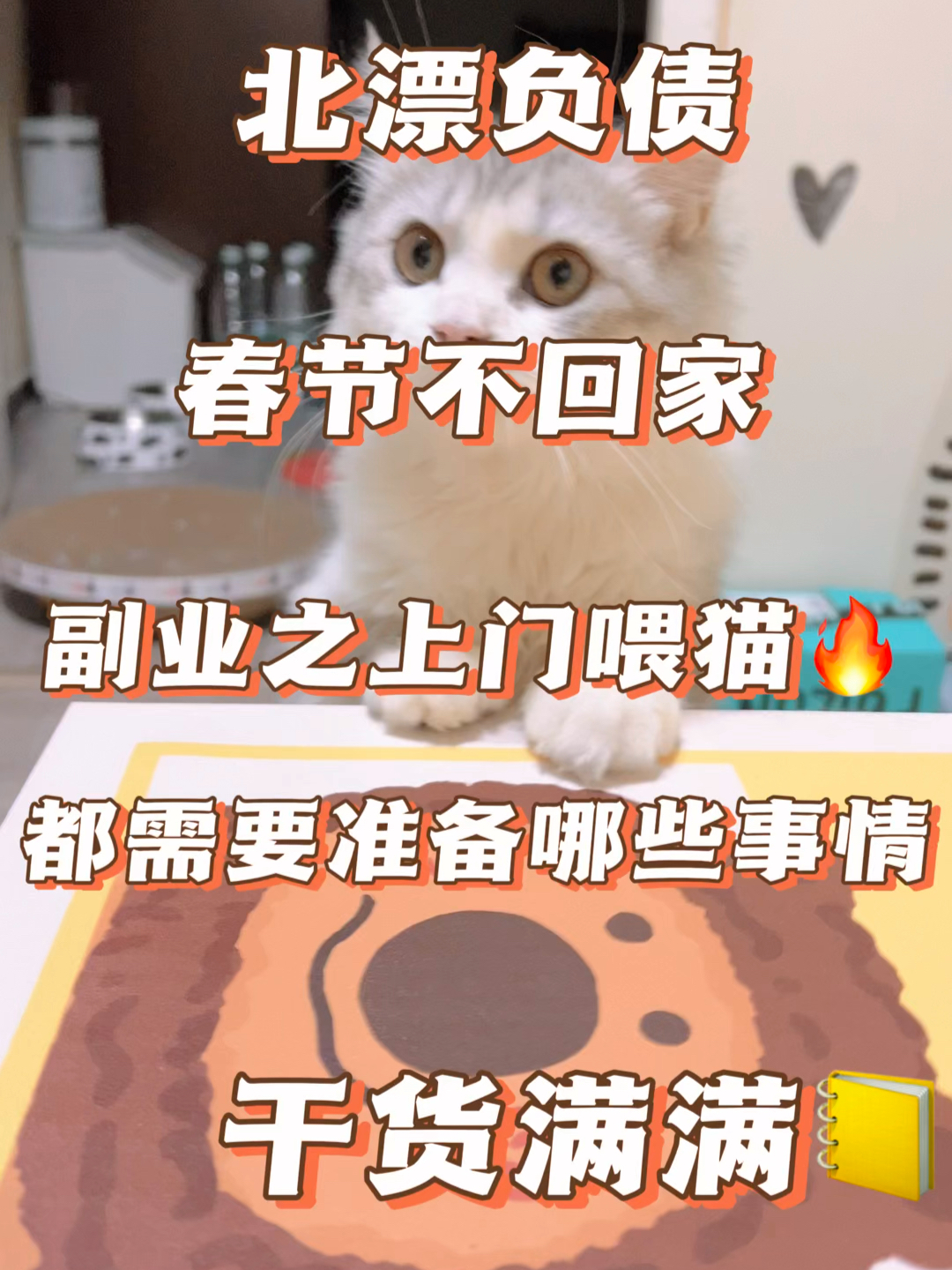 上门喂猫成新型职业，春节收入高达1.5万！