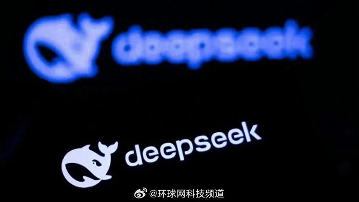 DeepSeek未来命运揭秘，是否会被强制出售给美国？